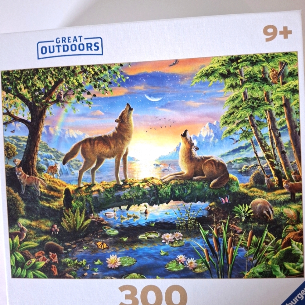 Ravensburger 300 piece puzzle